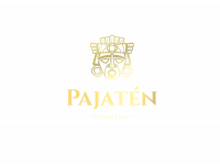 logo con tipografia PNG logo con tipografia PNG